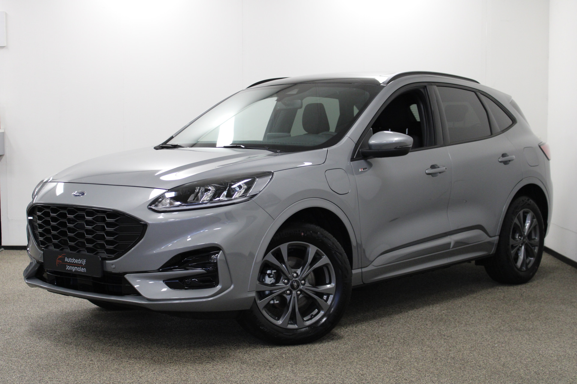 Ford Kuga 2.5 PHEV ST-Line Panorama dak