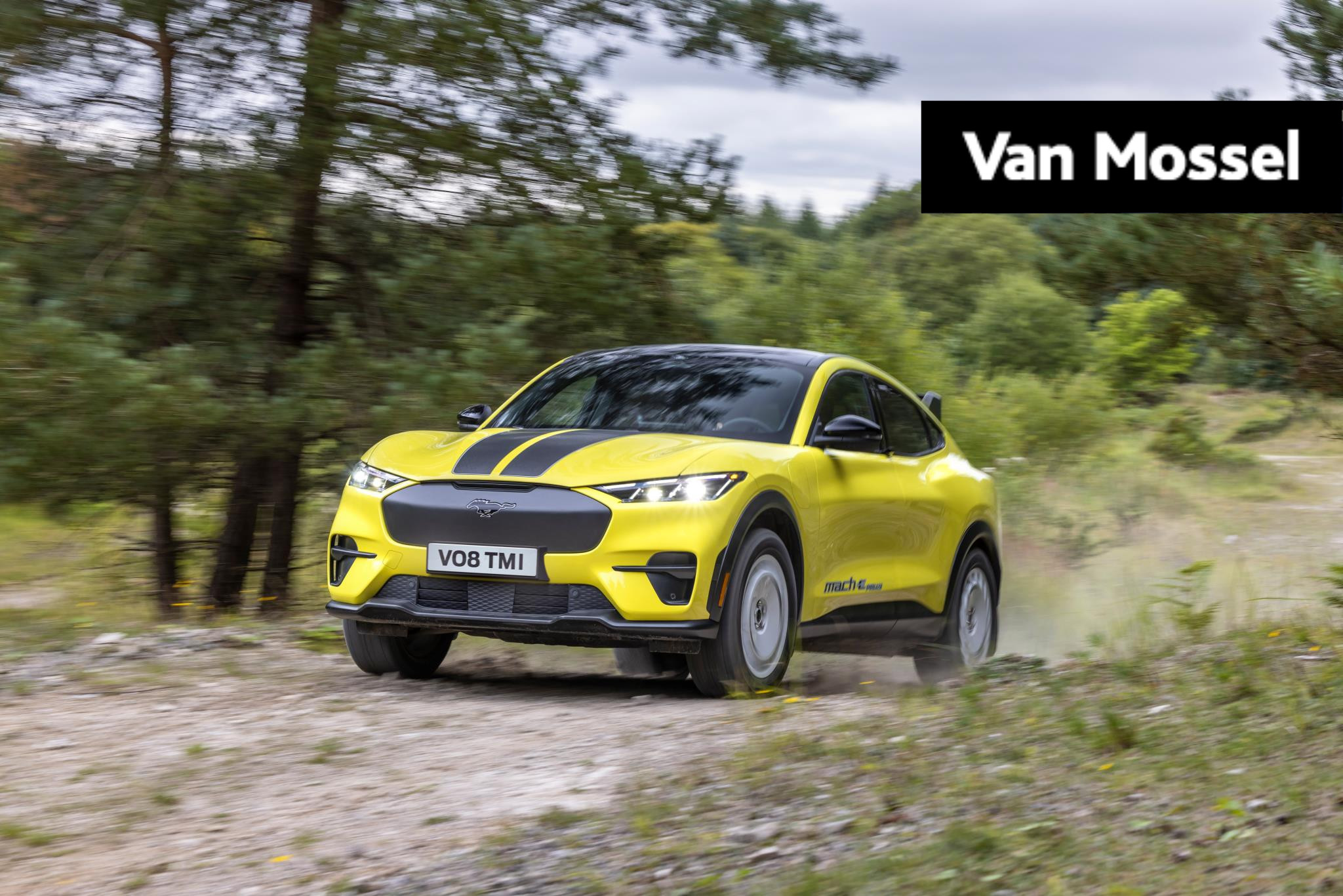 Ford Mustang Mach-E Rally Extended AWD 98 kWh Ford Mustang Mach-E 98kWh Ext AWD Rally | Nieuw Te Bestellen | Vanaf Prijs | Incl. Ford Protect Verlengde Garantie 2 + 6 jaar/160.000 km |
